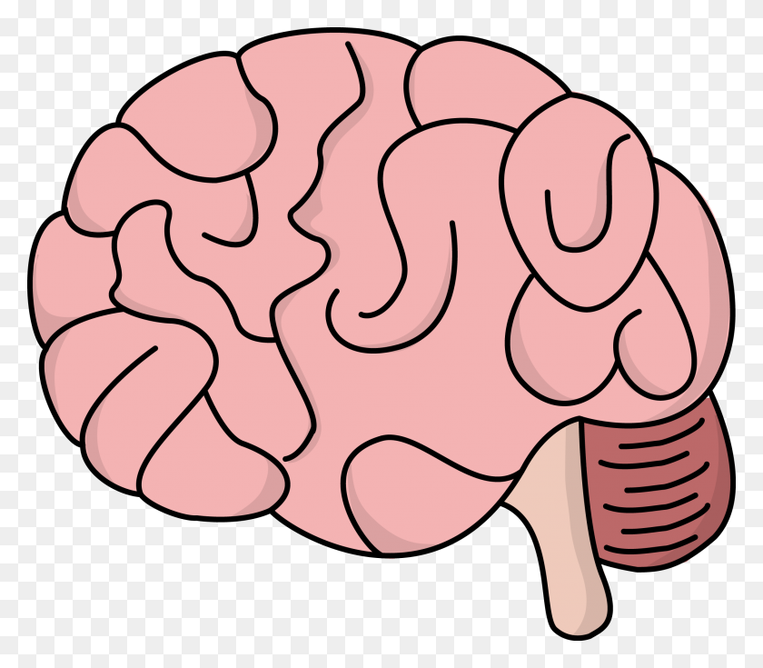 2174x1884 Brain Picture - Cartoon Brain PNG