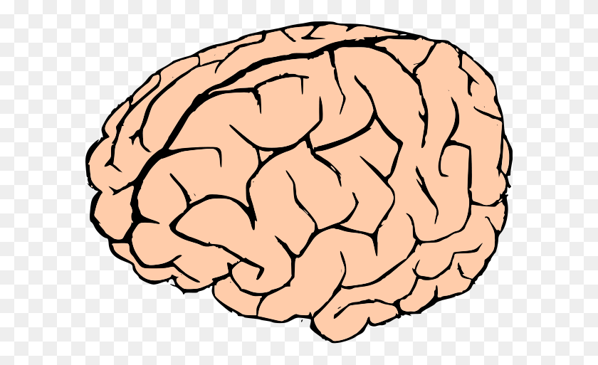 600x453 Brain Png Clip Arts For Web - Brain PNG