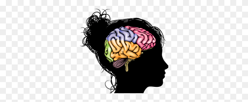 300x288 Los Estudios Cerebrales Señalan Los Peligros Del Uso De Alcohol En Los Adolescentes Nacional - Cerebro Png