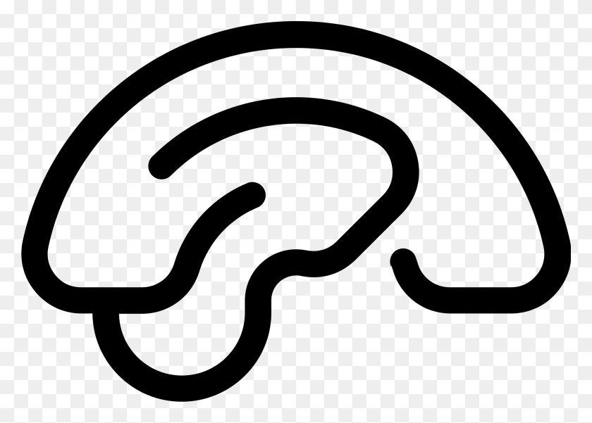 2399x1666 Brain Thicker Lines Side View Icons Png - Brain Icon PNG
