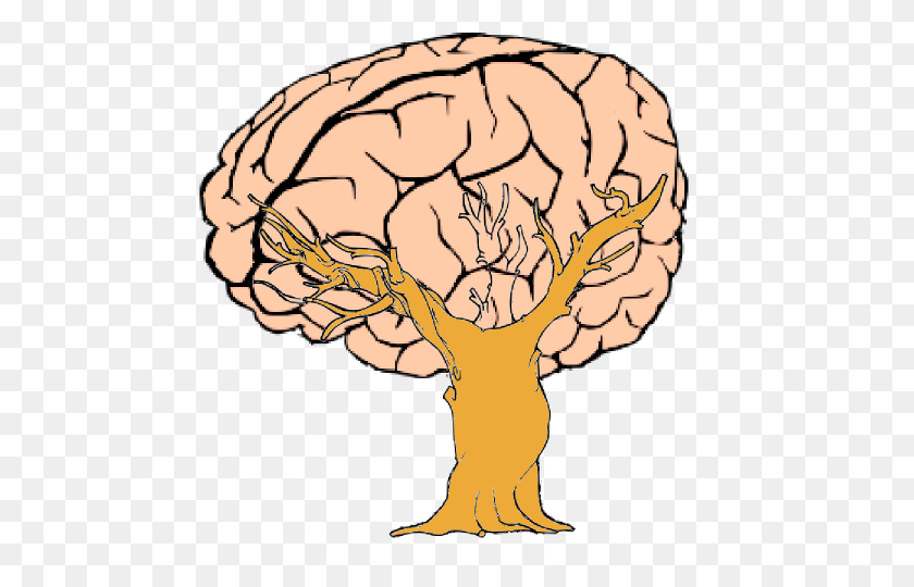 600x480 Brain Tree Clip Art - Knowledge Brain Clipart