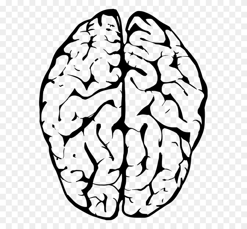 573x720 Мозг Клипарт Умный Мозг Карандашом И В Цвете Мозг Клипарт - Мозг Клипарт Черный И Белый