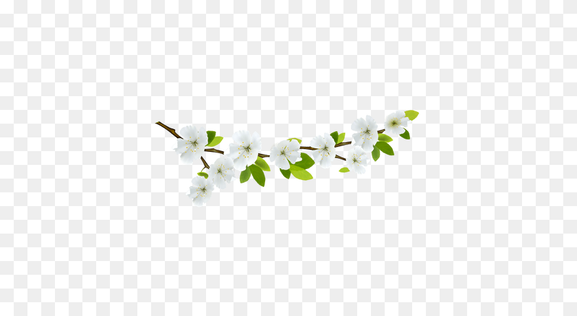 400x400 Branch And Flowers Transparent Png - Real Flowers PNG
