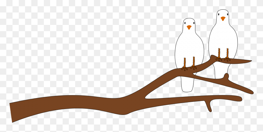 2400x1120 Branch Clipart - Bird On Branch Clip Art