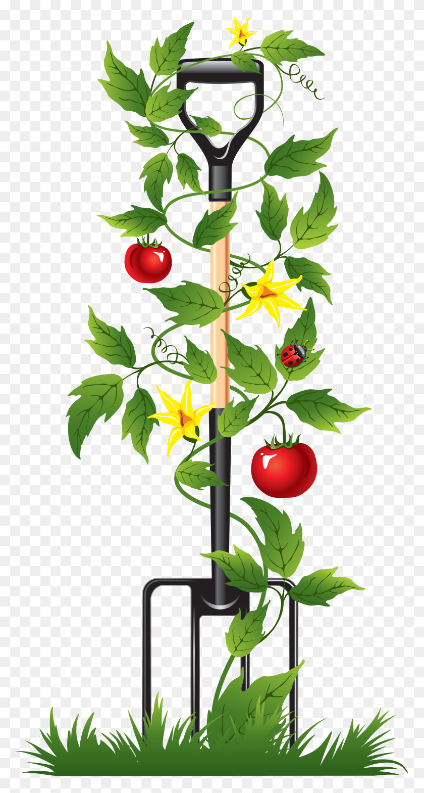 3384x6547 Branch Clipart Irrigation Sprinkler Water Timers Drip System - Irrigation Clipart