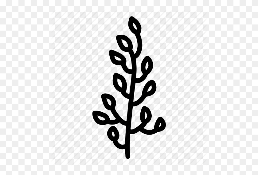 512x512 Branch, Doodle, Floral, Flower, Leaf, Leaves, Nature, Sketch, Tree - Tree Sketch PNG