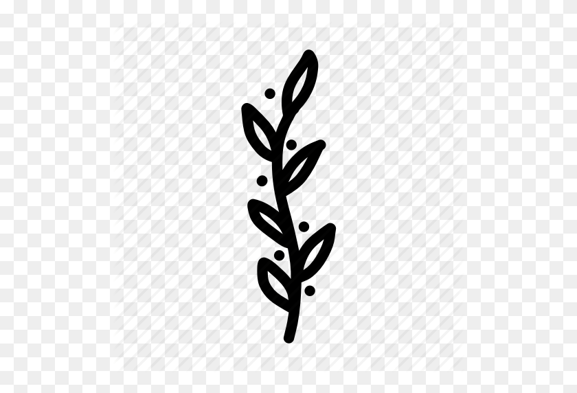 512x512 Branch, Doodle, Floral, Leaf, Leaves, Nature, Plant, Sketch, Tree Icon - Tree Sketch PNG