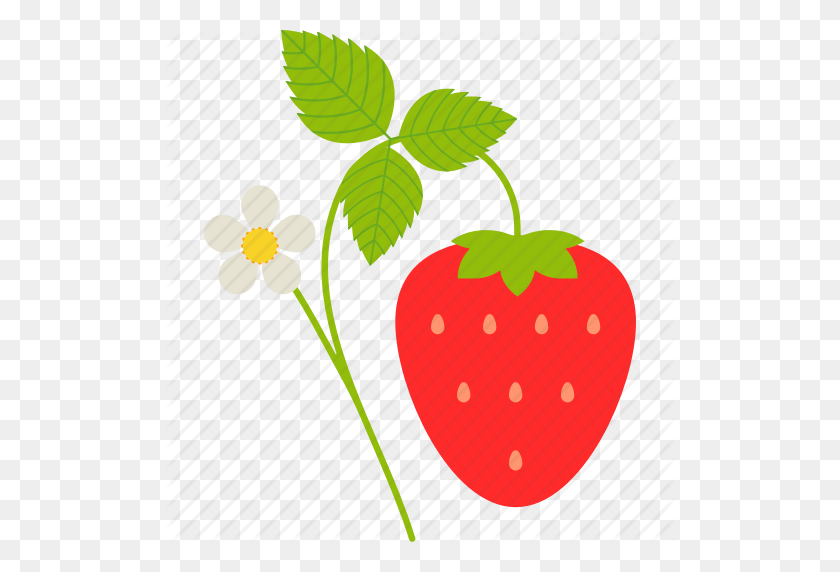 512x512 Rama, Flor, Alimentos, Fruta, Saludable, Hoja, Fresa Icono - Strawberry Vine Clipart