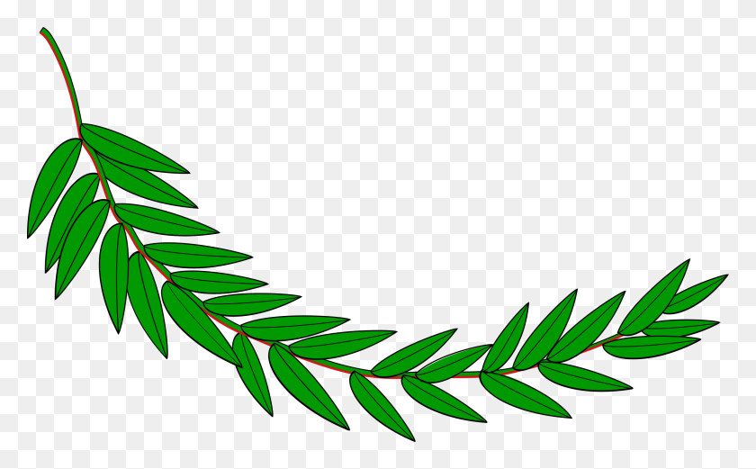 2400x1419 Branch Icons Png - Branch PNG