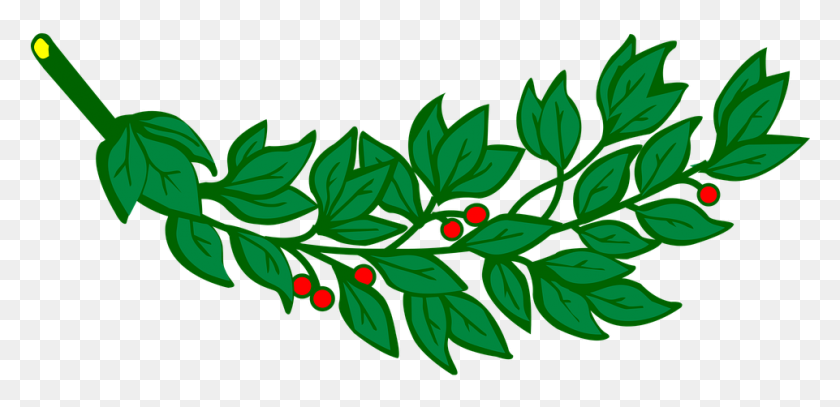 961x428 Branch, Laurel, Leaf, Leafy, Leaves - Leafy PNG