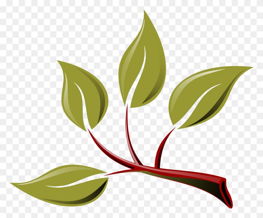 2324x1895 Branch Png Transparent Free Images Png Only - Tree Branch PNG