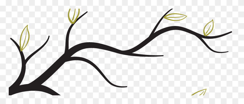 780x300 Branch Png Transparent Free Images Png Only - Branches PNG