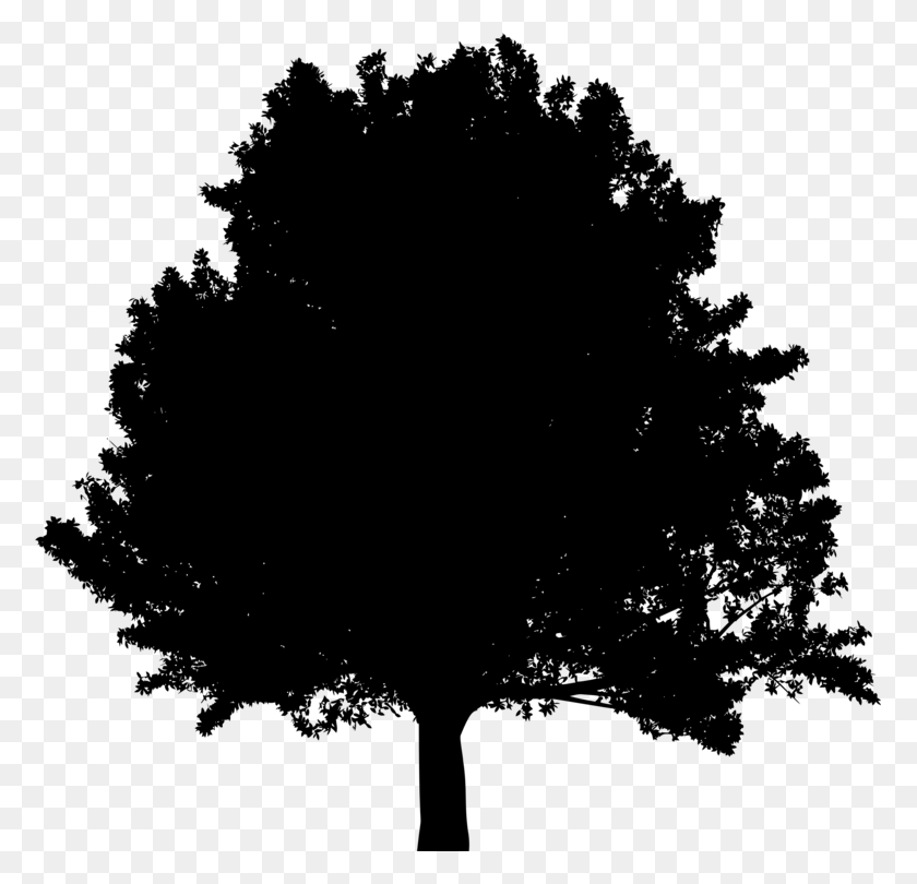 775x750 Branch Tree House Oak Ecology - Oak Tree Silhouette PNG