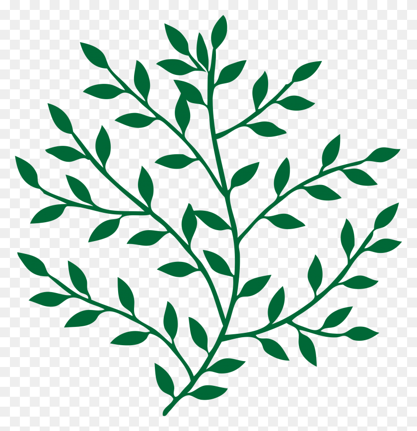 2190x2274 Branches With Leaves Icons Png - Branches PNG