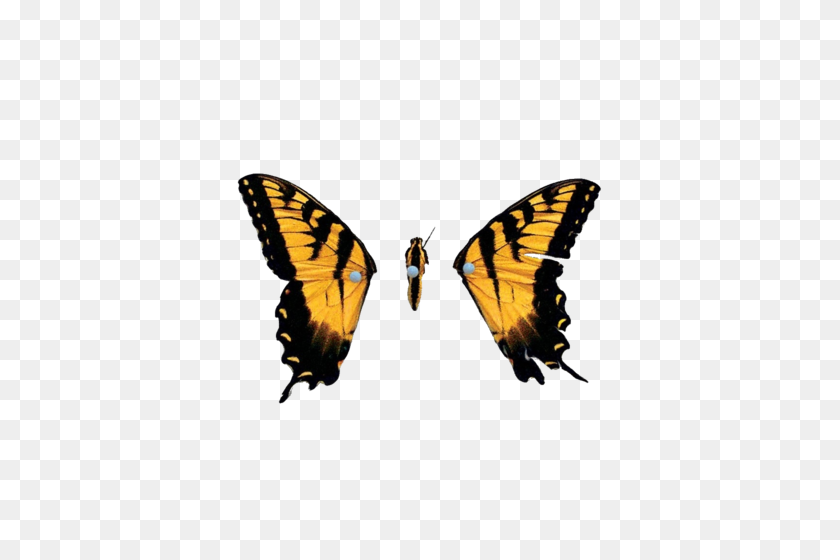 500x500 Brand New Eyes Tumblr On We Heart It - Hayley Williams PNG