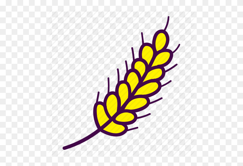 512x512 Bread, Crop, Harvest, Rye, Spica, Wheat Icon - Harvest PNG