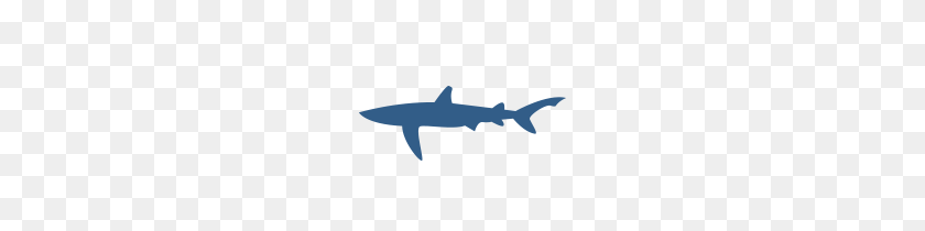 200x150 Rompiendo La Parte Posterior Del Comercio De Aleta De Tiburón Hablando De Cambio - Aleta De Tiburón Png