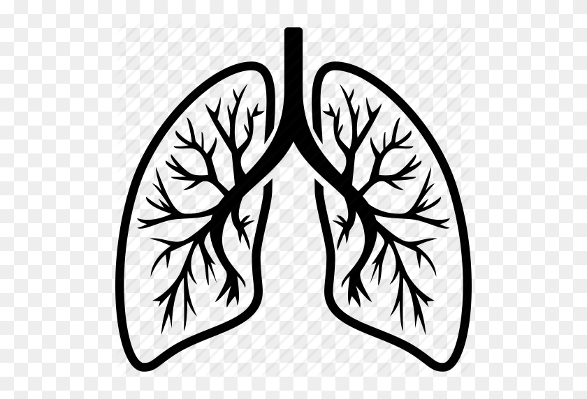 512x512 Breathing Lungs Clip Art - Breathing Clipart