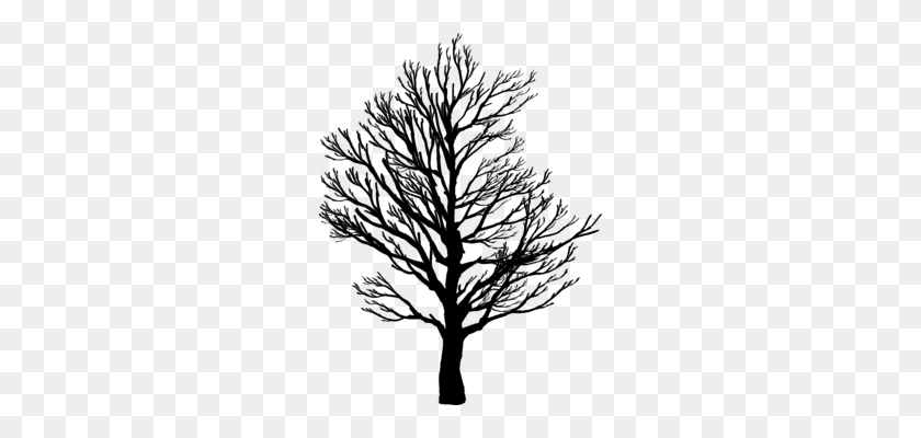 258x340 Broad Leaved Tree Silhouette Oak - Oak Clipart