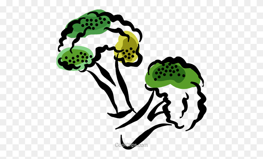 480x447 Broccoli Royalty Free Vector Clip Art Illustration - Clipart Broccoli