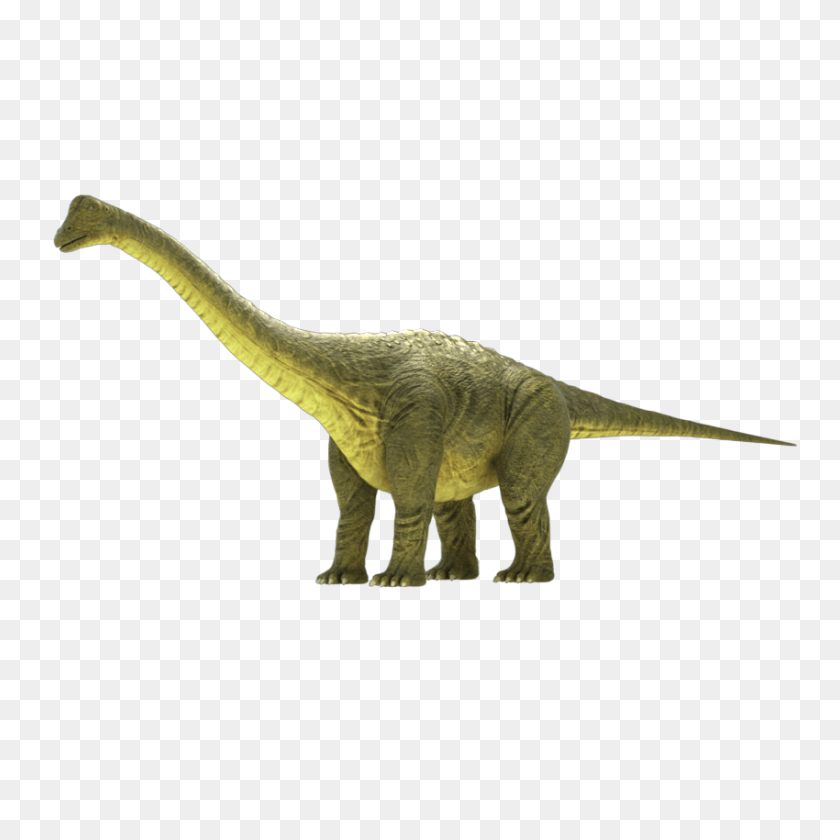 850x850 Aparejo Brontosaurio - Brontosaurio Png