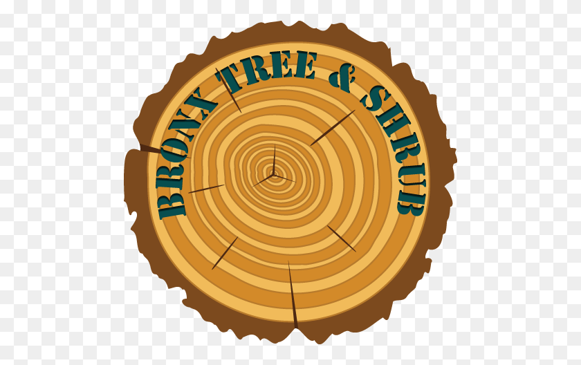 482x468 Bronx Riverdale Tree Service, Pruning, Removal Bronx Tree Shrub - Tree Bark PNG