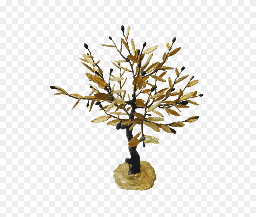 652x652 Bronze Olive Tree Kallisti Gallery - Olive Tree PNG