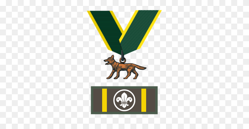 264x378 Награда Бронзовый Волк - Почетная Медаль Клипарт