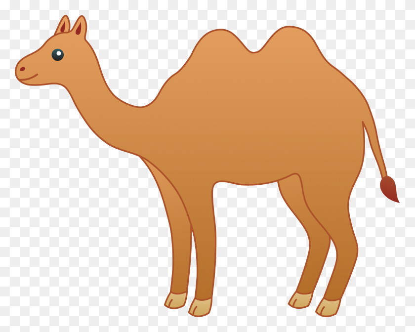 7934x6232 Brown Camel With Two Humps - Two Clipart