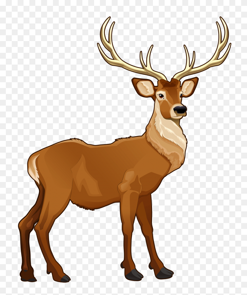 3438x4168 Brown Clipart Reindeer - Doe Head Clipart