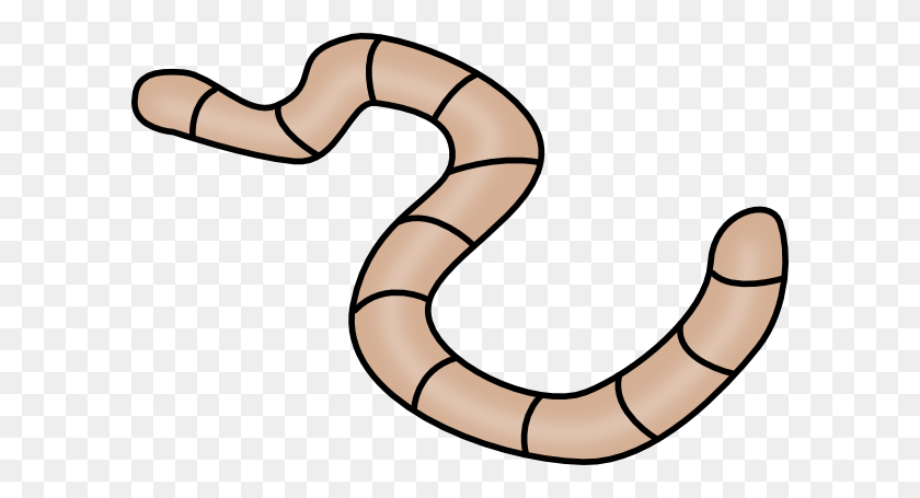 600x395 Brown Earth Worm Brown Earth And Brown - Boa Clipart