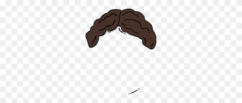 246x297 Brown Hair Clipart Man Hair - Mexican Mustache Clipart
