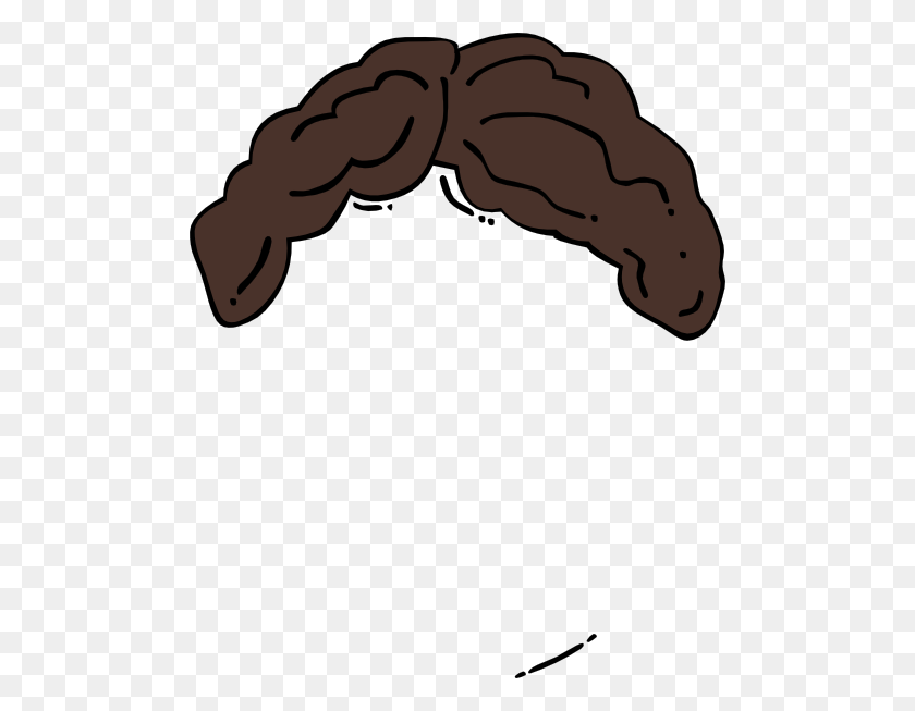 492x593 Brown Hair Wig Clip Art - Brown Hair Clipart