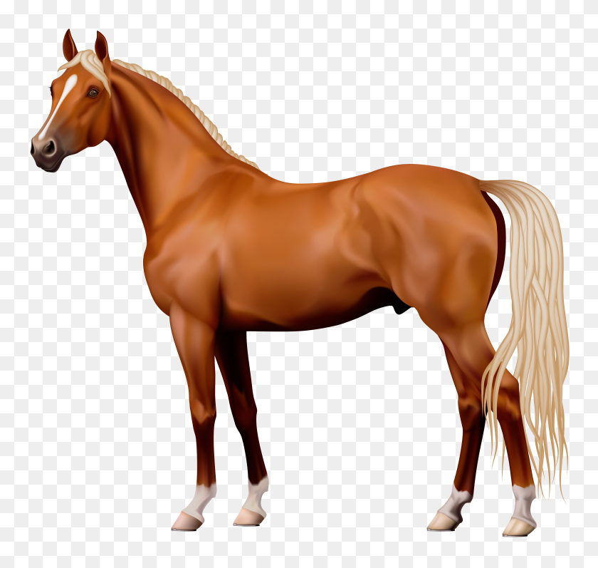 4120x3894 Brown Horse Png Clipart - Pet PNG