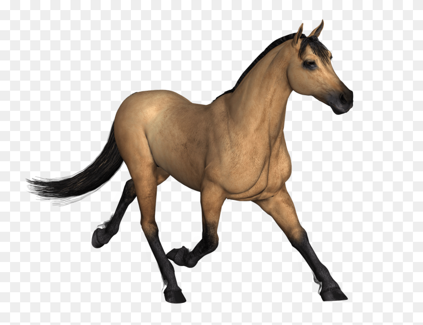 1280x960 Brown Horse Running Transparent Png - Mustang Horse PNG