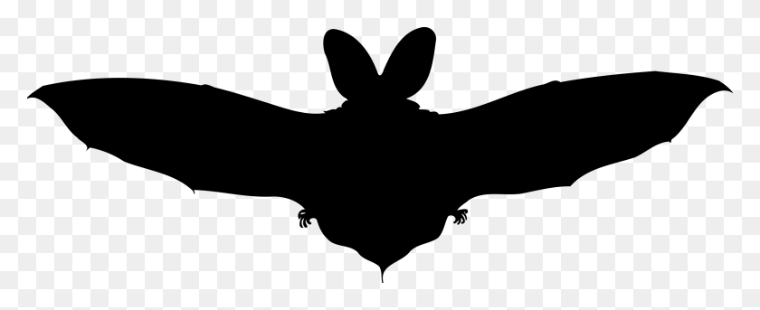 2400x873 Brown Long Eared Bat Silhouette Icons Png - Bat Silhouette PNG