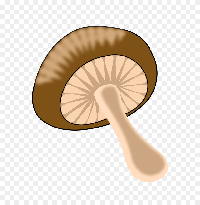 701x800 Brown Mushroom Clip Art On Clipart Cliparts For You Image - Clipart For Powerpoint Presentation