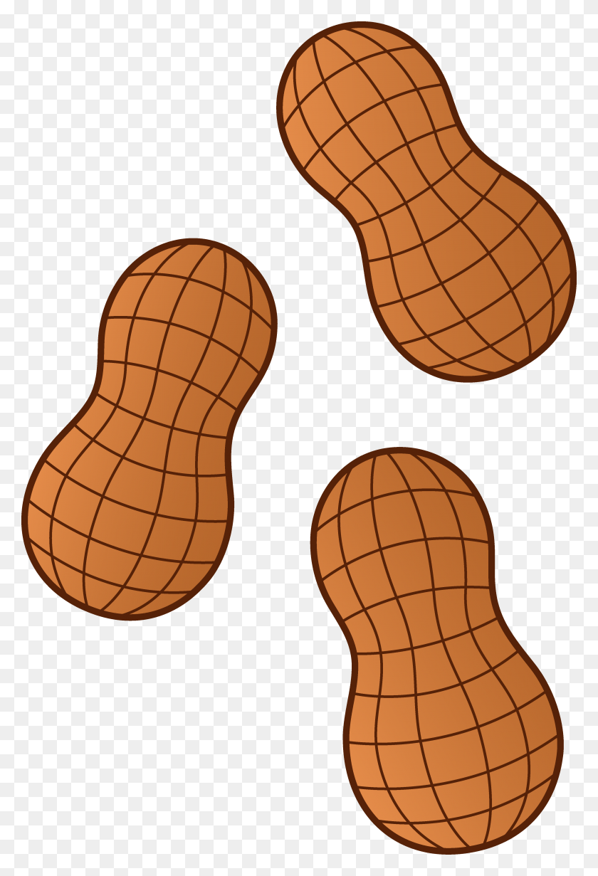 3567x5357 Brown Peanut Clip Art Free Image - Peanut Butter And Jelly Clipart