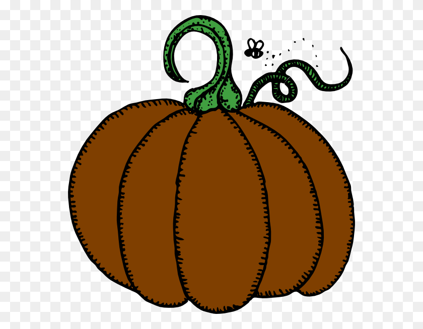 570x594 Clipart De Calabaza Marrón - Clipart De Calabaza De Acción De Gracias