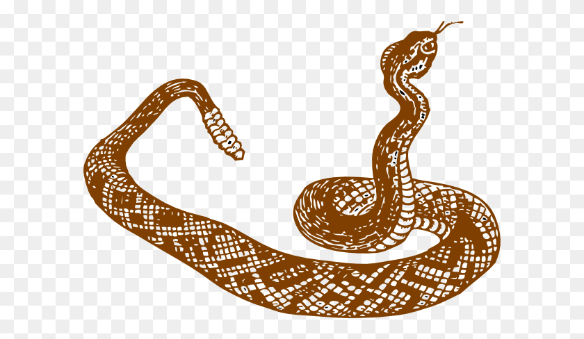 600x428 Serpiente De Cascabel Marrón Clipart - Serpent Clipart