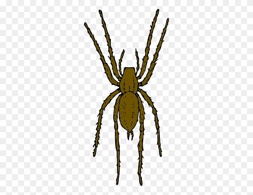 282x589 Brown Spider Clip Art - Spider Clipart
