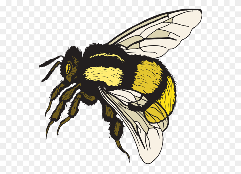 570x547 Bubble Bee Cliparts - Cute Bumblebee Clipart