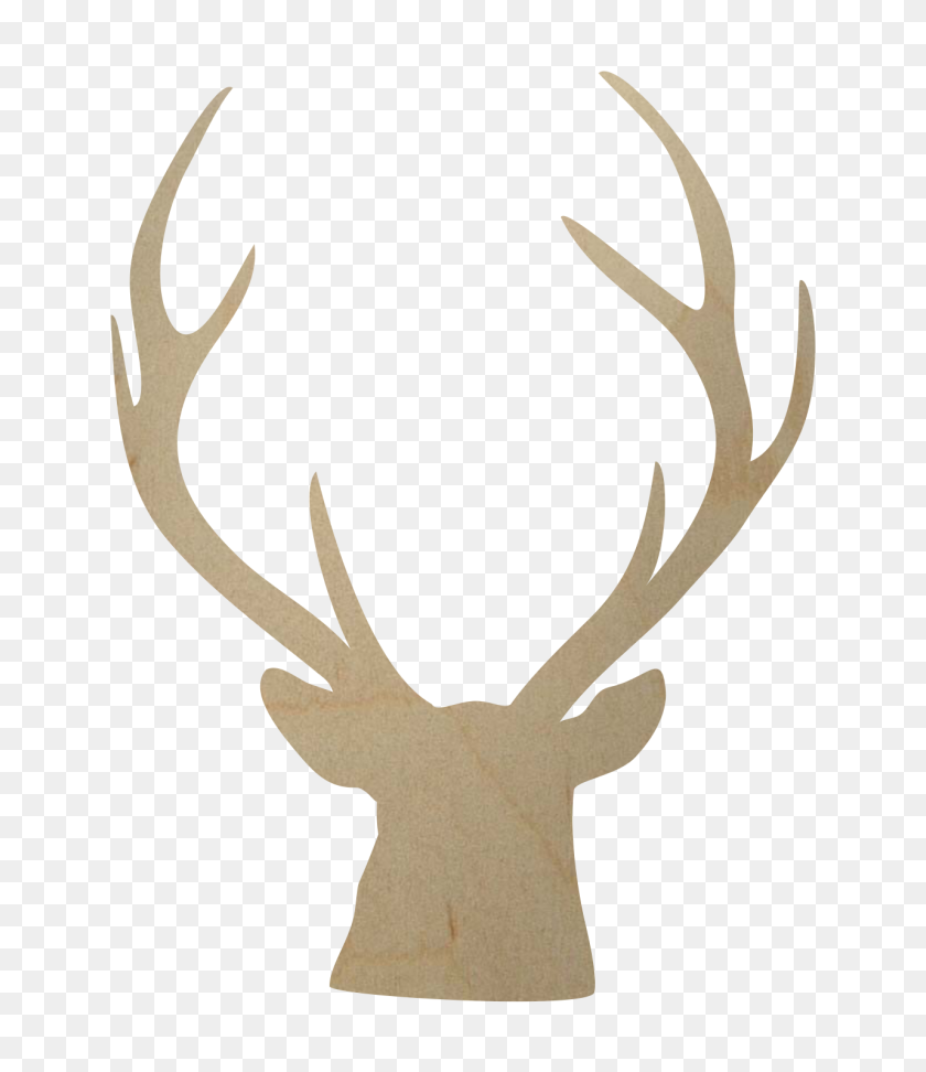 684x912 Buck Antlers Png For Free Download On Ya Webdesign - Antlers PNG
