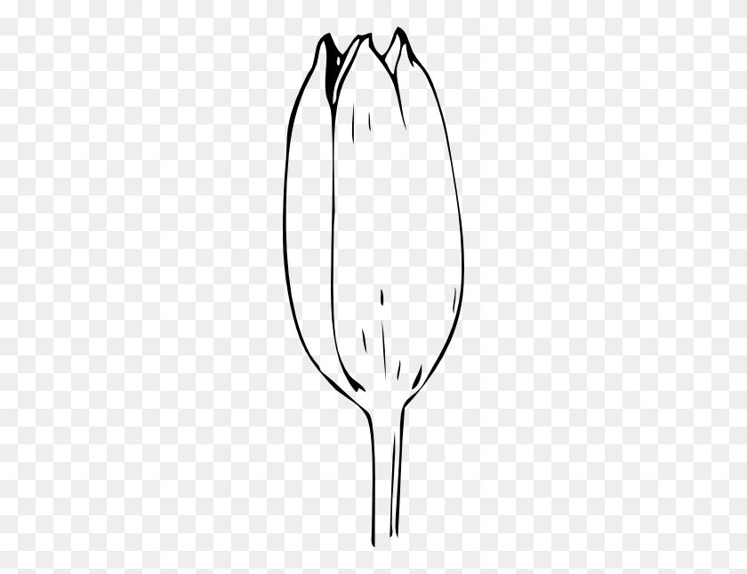 204x586 Bud Clipart Outline - Rose Clipart Outline