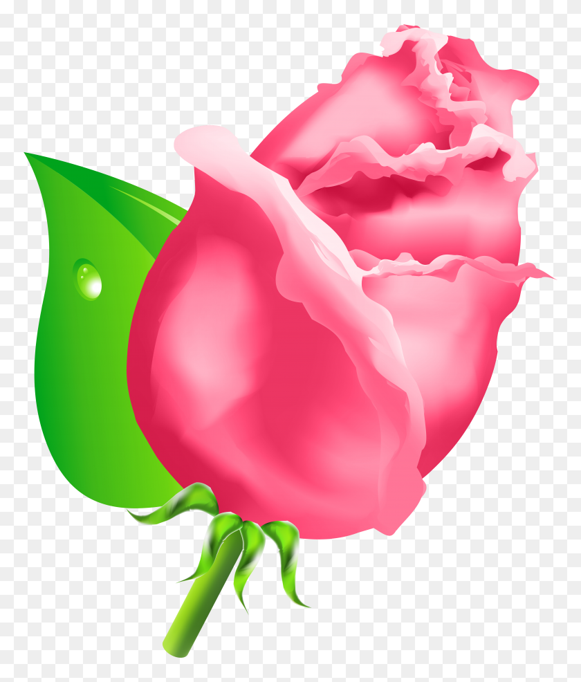 5051x6000 Bud Clipart Simple Rose - Simple Rose Clipart