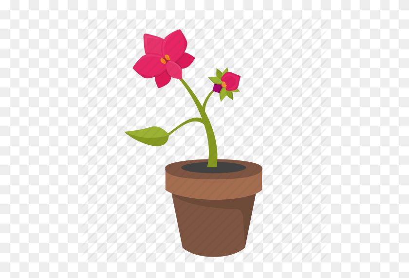 512x512 Bud, Flower, Orchid, Plant, Pot Icon - Flower Pot PNG