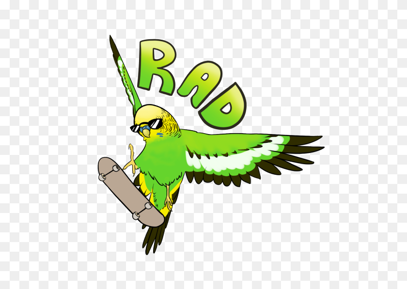500x537 Budgerigar Parrot Bird Parakeet Clip Art - Canary Clipart
