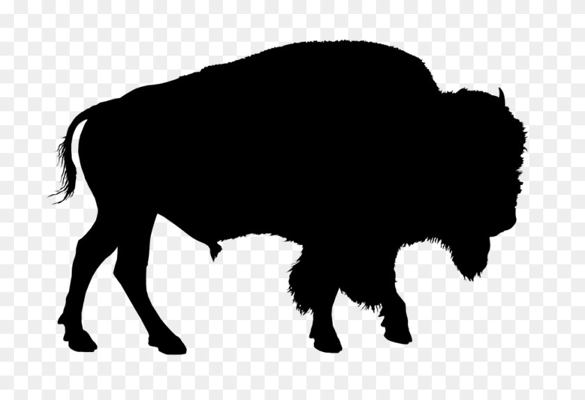 960x635 Buffalo Silhouette Group With Items - Buffalo Clipart Black And White