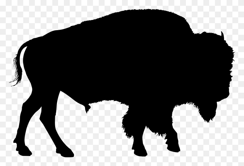 2316x1524 Buffalo Silhouette Icons Png - Buffalo PNG