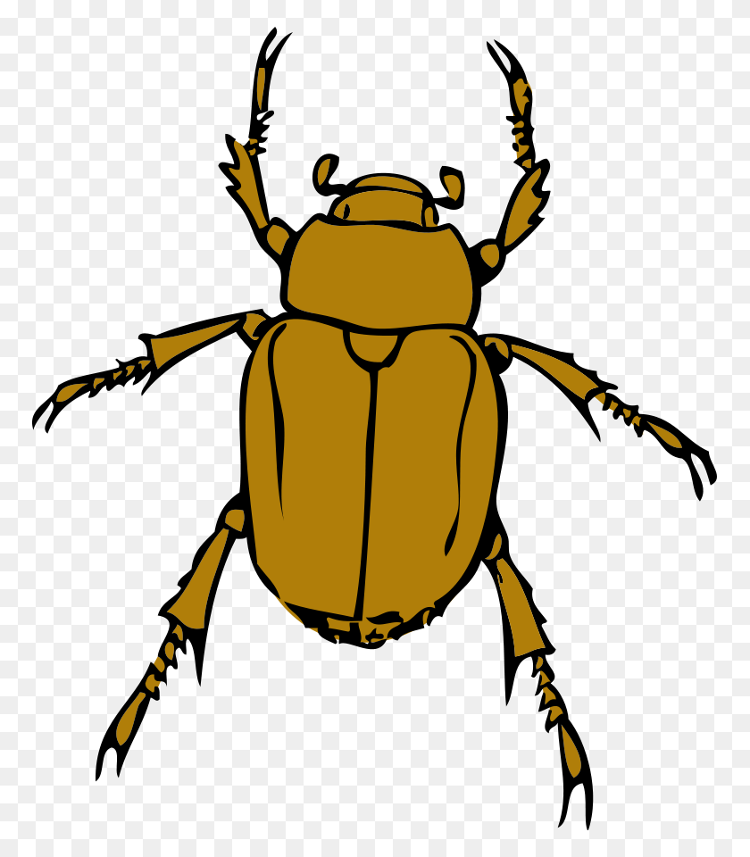 768x900 Bug Clip Art Free Black And White Clipartfest - Cricket Insect Clipart